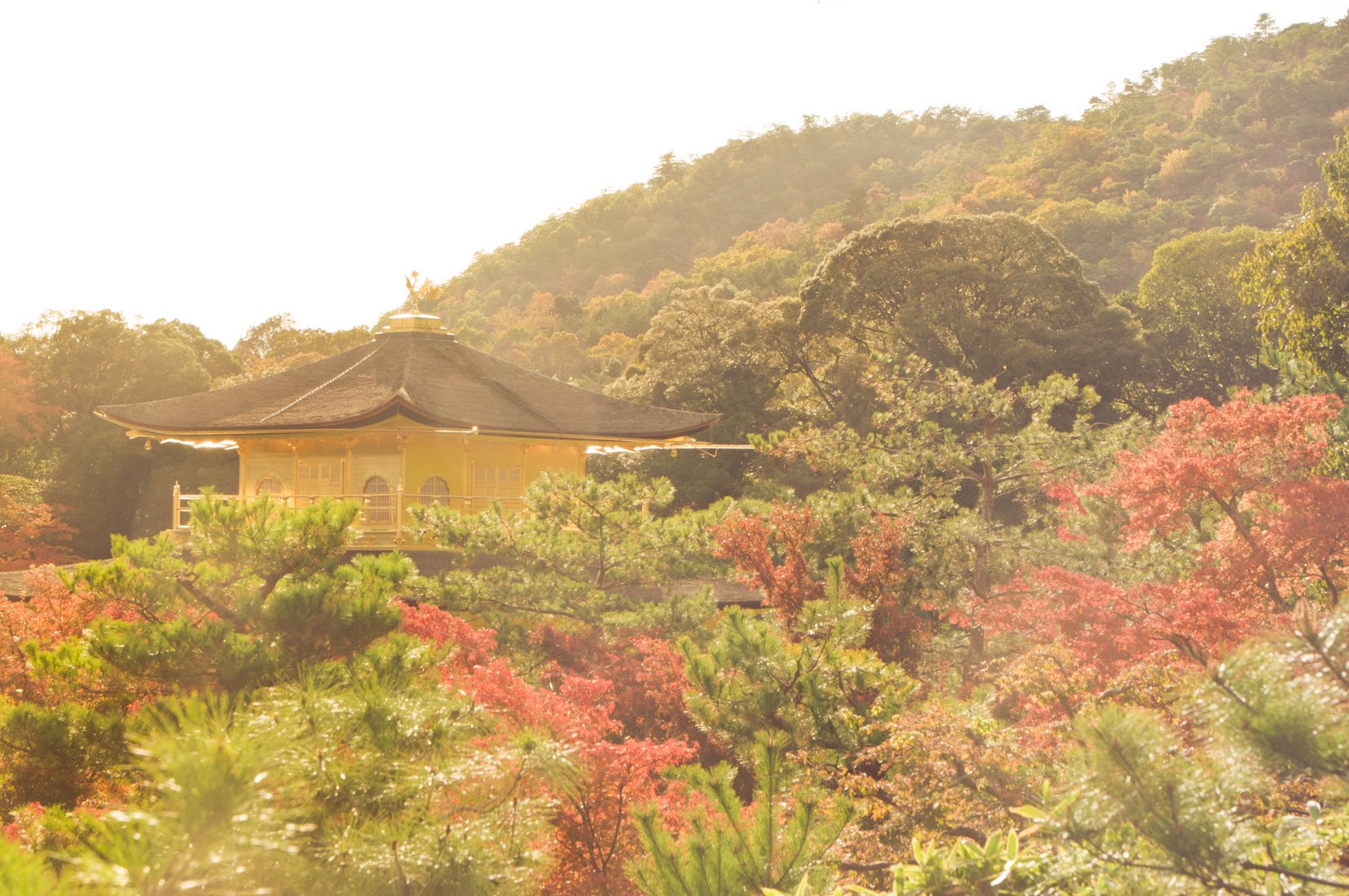 Kyoto Mainland Japan - Marshalls Abroad